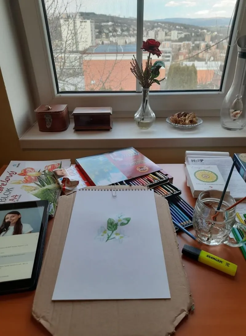 Marcela kreslí karty Energie rostlin
