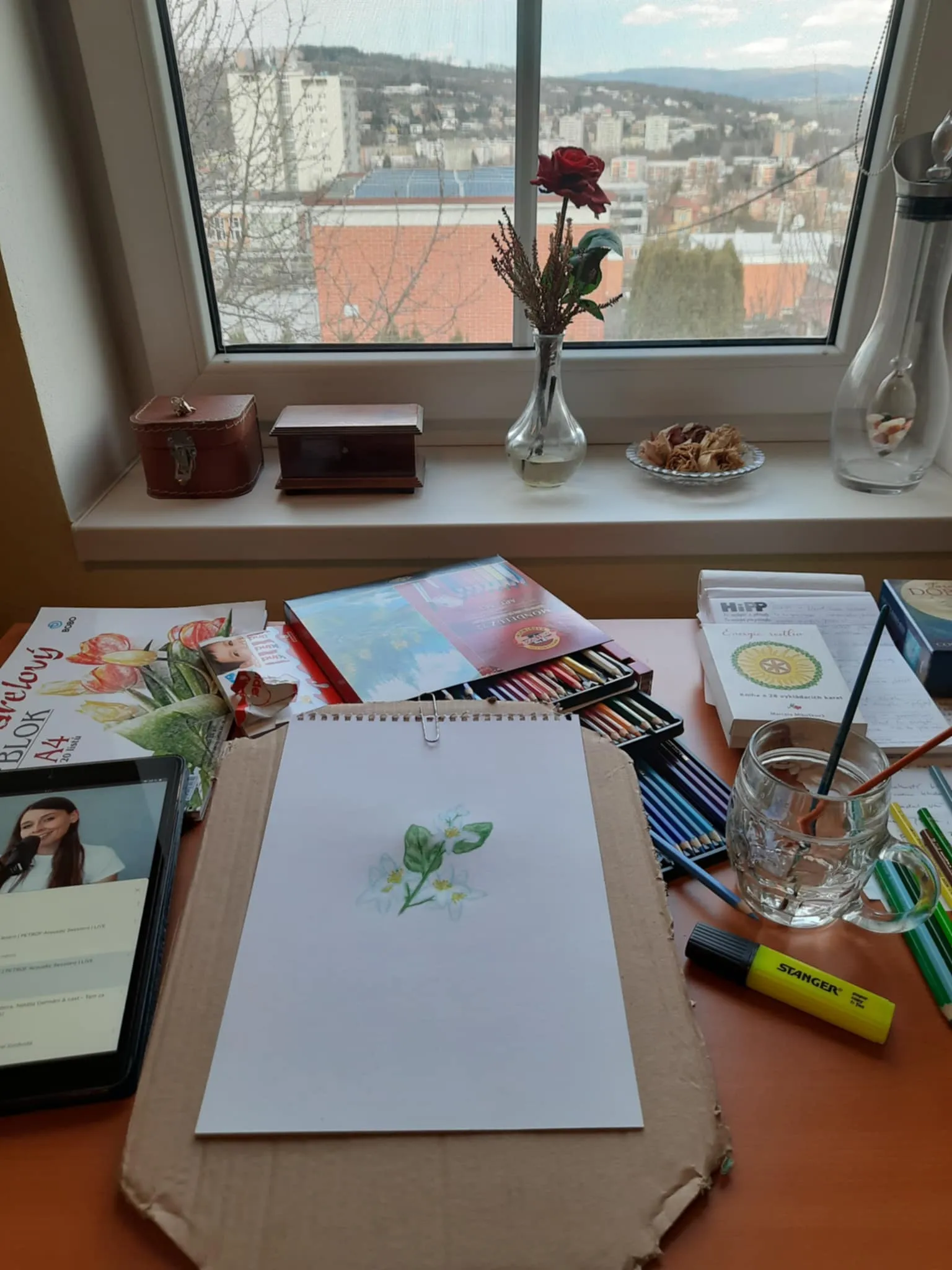 Marcela kreslí rostliny – proces tvorby karet