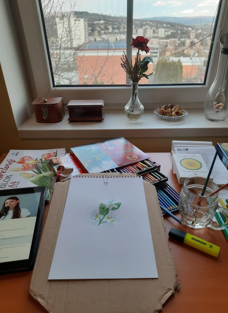 Marcela kreslí karty Energie rostlin