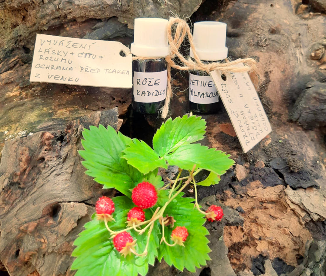 EEsenciální oleje a aromaterapie ve Zlíně – MM Terapie Života